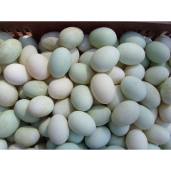 广西红树林北部湾特产海鸭蛋 36枚礼盒装 18枚礼盒装 送礼...