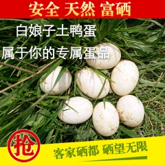 连城白鹜鸭蛋 白娘子土鸭蛋 儿童专属蛋 一盒30枚一件代发包...