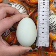 厂家直销咸鸭蛋 批发正宗高油多油起沙咸鸭蛋 真空包装