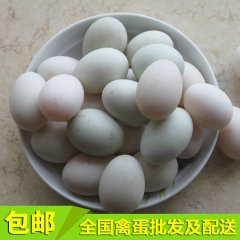 专业销售 农家散养鲜鸭蛋 彩霞姑娘礼盒鸭蛋批发
