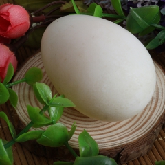 土鸭蛋 长寿之乡重庆江津生态散养 可做咸蛋 土麻鸭蛋