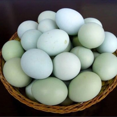 咸鸭蛋 真空礼盒包装咸海鸭蛋 广西特产新鲜起砂流油食用海鸭蛋