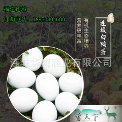 连城白鸭蛋受精蛋鸭蛋土鸭蛋散养新鲜白鹜鸭蛋