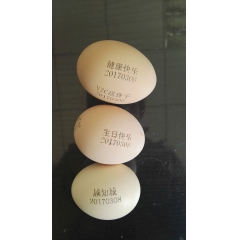 南京活珠子/南京六合活珠子价格_六合竹镇