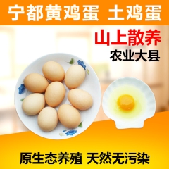 鸡蛋批发 农家山上散养天然土鸡蛋 宁都三黄鸡蛋 孕妇小孩 2...