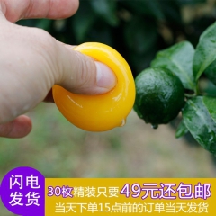 农家特产土鸡蛋30枚包邮 新鲜散养土鸡蛋月子蛋正宗草鸡蛋批发