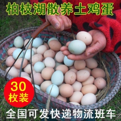 30枚装包邮农家放养土鸡蛋草鸡蛋一件代发批发 纯天然