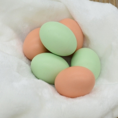 绘画木制鸡蛋 幼儿园DIY教具 过家家益智玩具蛋 实木仿真鸡...