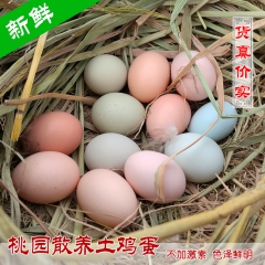 30个农家散养土鸡蛋果园山林放养野外生长无添加绿粉白壳蛋粉批...