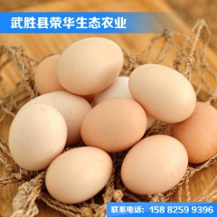 新鲜土鸡蛋礼盒包装正宗农家无公害土鸡蛋农家自养富硒土鸡蛋黄脚