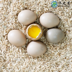 安徽名牌 大别山农家散养30枚装野鸡蛋 野鸡蛋破损包赔