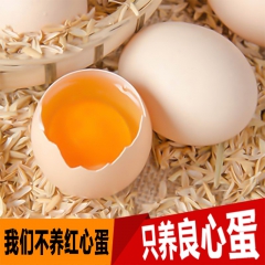 30枚装当天现发新鲜鸡蛋 正宗原生态土鸡蛋 土鸡蛋包邮
