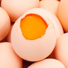 土鸡蛋自养跑山鸡 新鲜自养柴鸡蛋 正宗有机草鸡蛋15个省内包...