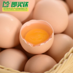 批发供应正宗土鸡蛋 农家散养纯天然新鲜有机草鸡蛋 宝宝孕妇蛋