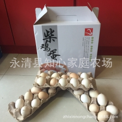 厂家直销批发土鸡蛋 纯天然 散养 柴鸡蛋