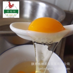 农家土鸡蛋  12枚 厂家大量批发销售 芦花鸡 土鸡蛋 绿色...