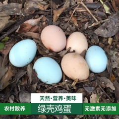 正宗天然散养新鲜绿壳乌鸡蛋30/60枚 土鸡蛋草鸡蛋笨鸡蛋柴...