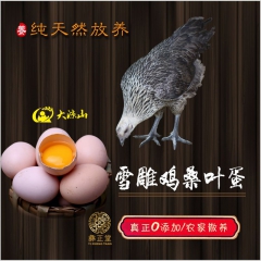 【大凉山特产】彝正堂桑叶鸡蛋 雪雕鸡蛋 生态鸡蛋