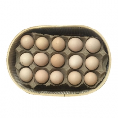 甘肃 平凉 泾川 地方特产 土鸡蛋