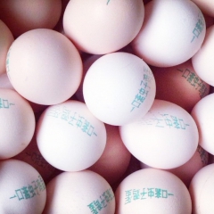 一口斋虫子鸡蛋  鸡蛋批发 土特产鸡 蛋无菌鸡蛋 甘肃特产