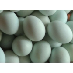 农家散养绿皮土鸡蛋   品种优良   绿色天然  无激素  ...