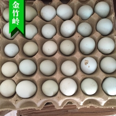 金竹岭正宗土鸡蛋草鸡蛋笨鸡蛋 农村自养山林纯天然放养