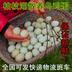 厂家直供大量批发新鲜散养绿壳鸡蛋 乌鸡蛋土鸡蛋 正宗可一件代...