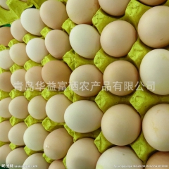 富硒鸡蛋 农家土草鸡蛋  欢迎采访 现货供应 新鲜美味 量大...