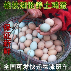 大量供应当天新鲜土鸡蛋 柏枝湖农家五谷喂养草鸡蛋 放养散养鸡...