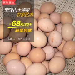 鸡蛋 武陵山正宗农家散养土鸡蛋养殖场草鸡蛋批发孕妇食用