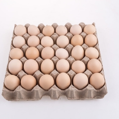 散养土鸡蛋 纯天然绿色鸡蛋 土鸡蛋原生态新鲜鸡蛋 厂家直销批...