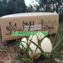 永鹏土鸡蛋农家特产鸡蛋新鲜可口美味营养鸡蛋