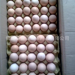 欢迎来电咨询 天然富硒山林鸡蛋 原生态散养 30枚/盒装 量...