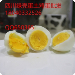 四川鸡蛋批发虫虫蛋批发土鸡蛋批发绿壳蛋批发乌鸡蛋批发绿色鸡蛋