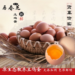 野鸡蛋 土鸡蛋七彩山鸡蛋 散养新鲜 草鸡蛋 新生喜蛋 柴鸡蛋