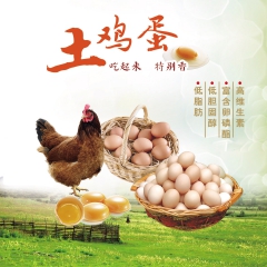 阿农叔 新鲜鸡蛋 绿壳鸡蛋 30枚 农家散养乌鸡蛋 新鲜土鸡...