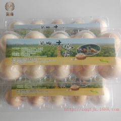 重庆土鸡蛋 茅庵紫杉鸡蛋  10枚/盒 批发散养鸡蛋