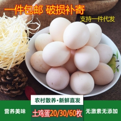 包邮江西庐山西海草鸡蛋 20/30/60枚装纯天然正宗山林散...
