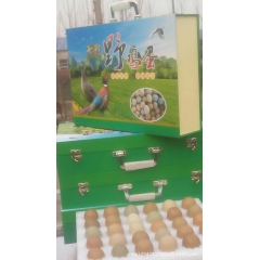 大量供应礼品盒装七彩野鸡蛋、野鸡蛋 营养价值极高 送礼佳品