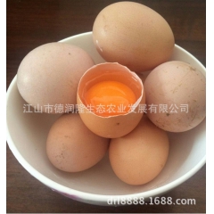 供应-土鸡蛋