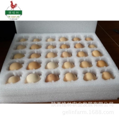 农家土鸡蛋  30枚 厂家大量批发销售 芦花鸡 土鸡蛋 绿色...