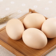 农家五彩土鸡蛋特产正宗新鲜自养土鸡蛋纯天然有机鸡蛋