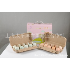 优质土鸡蛋 宝宝鸡蛋 20枚/盒 上海本土安全新鲜 批发
