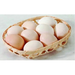 出售大量土鸡蛋