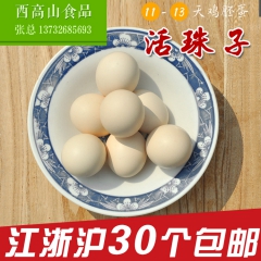 乾隆明珠牌 营养鸡胚蛋活珠子13天非旺鸡蛋 30只礼盒装包邮...