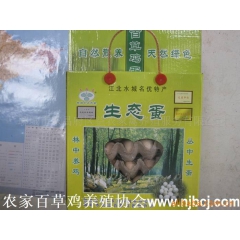 供应生态蛋礼品盒 聊城土鸡蛋 笨鸡蛋