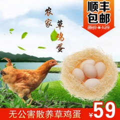 草鸡蛋 江苏盐城 阜宁 大瑭 草鸡蛋 散养 草鸡蛋30枚破损...