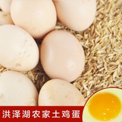 农家土鸡蛋 土特产农家 散养草鸡蛋营养丰富 可生食鲜鸡蛋