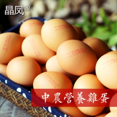 中农晶凤营养鸡蛋 树林散养土鸡蛋 农场放养草鸡蛋 厂家直供全...