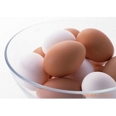 批发供应土鸡蛋---鲜鸡蛋批发、散养土鸡蛋